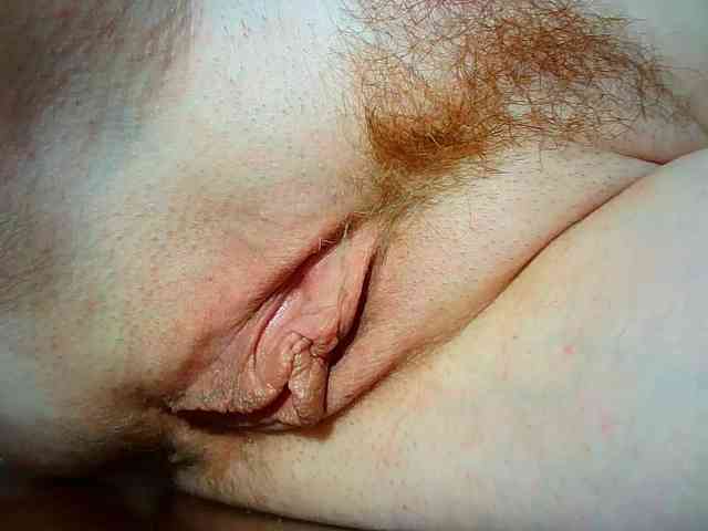 Xollan webcam