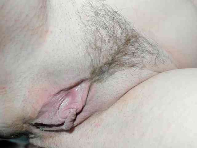 Xollan webcam