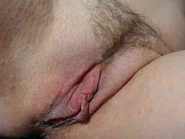 Xollan webcam