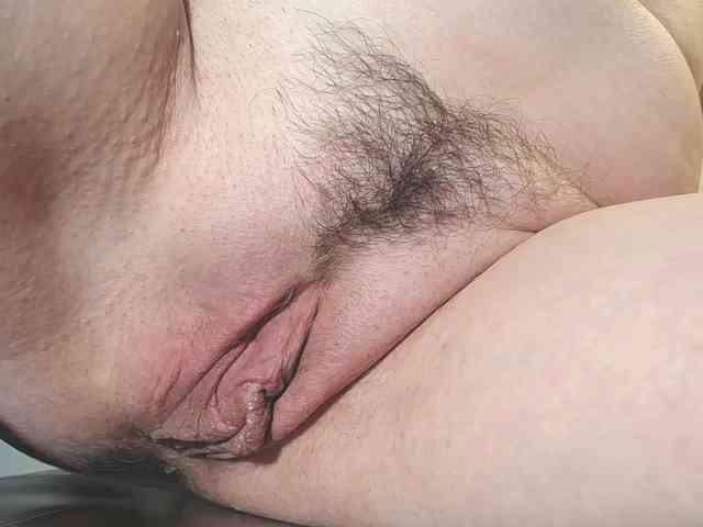 Xollan webcam
