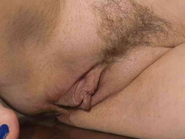 Xollan webcam