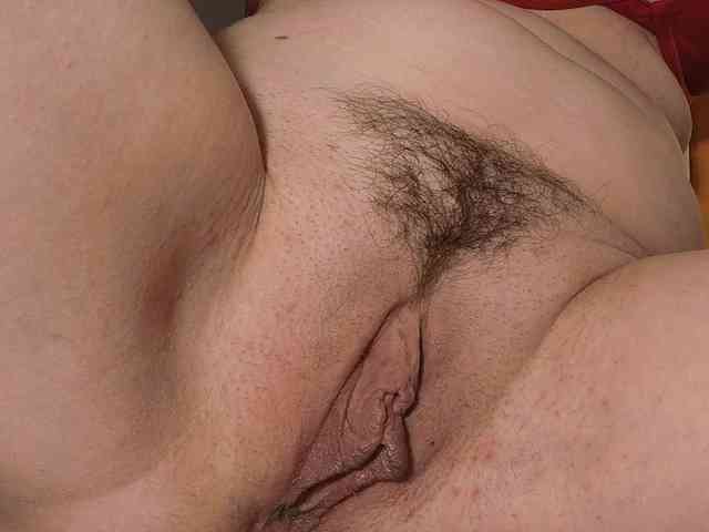 Xollan webcam