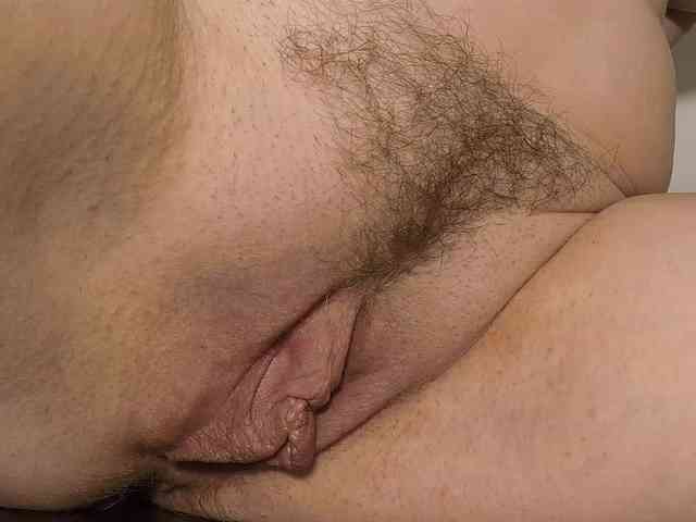 Xollan webcam
