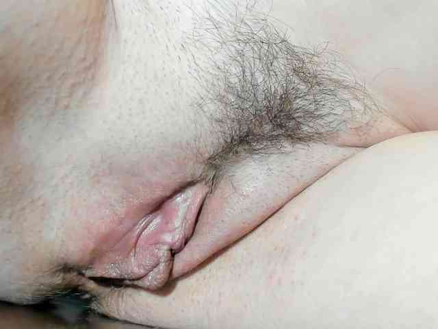 Xollan webcam