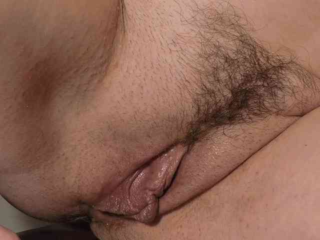 Xollan webcam