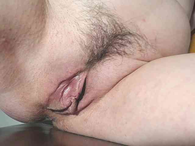 Xollan webcam