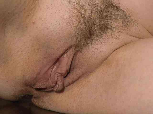 Xollan webcam