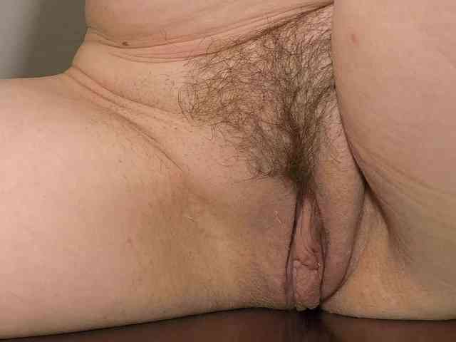 Xollan webcam