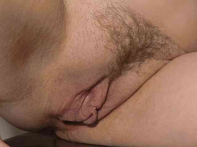 Xollan webcam