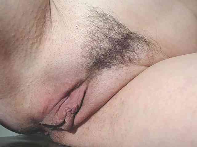 Xollan webcam
