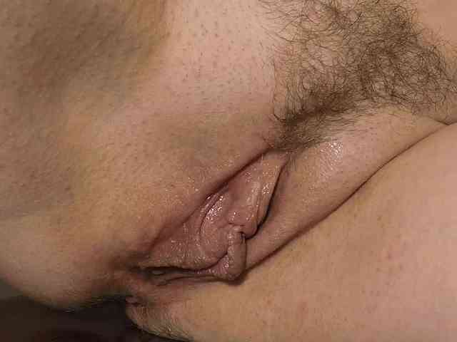 Xollan webcam