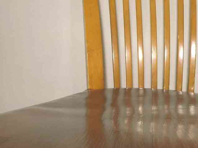 Xollan webcam