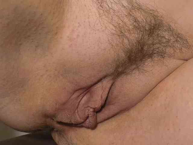Xollan