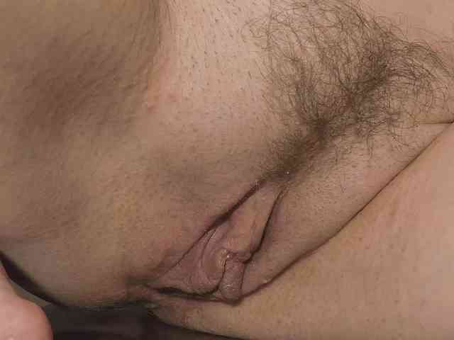 Xollan webcam