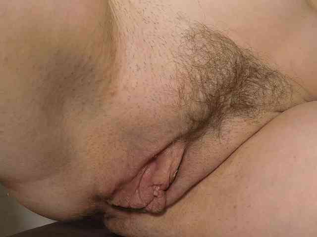 Xollan webcam