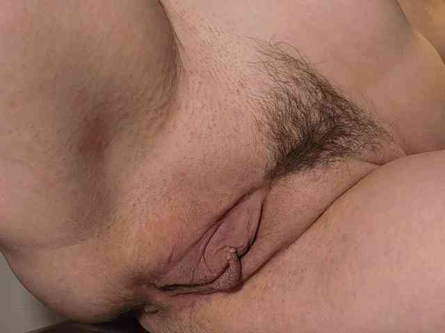 Xollan webcam