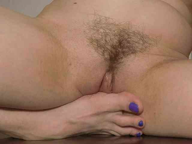 Xollan webcam