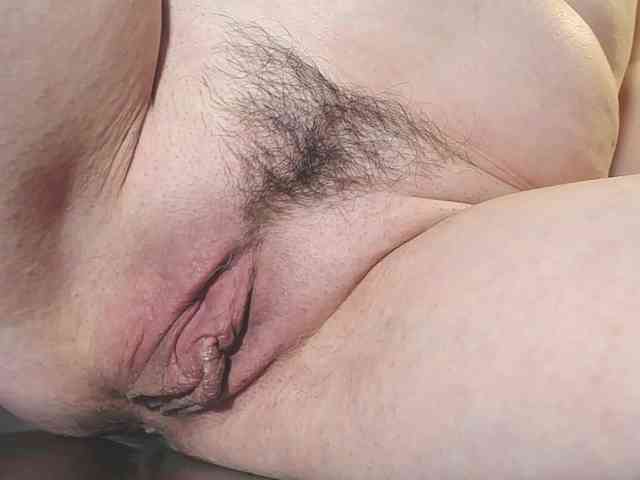Xollan webcam