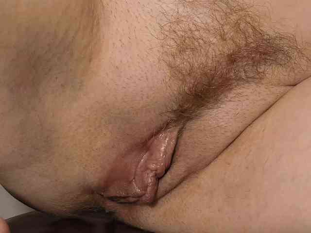 Xollan webcam