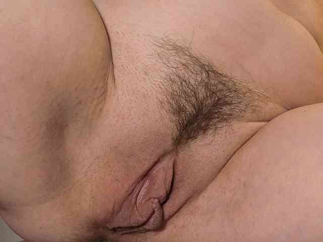 Xollan webcam