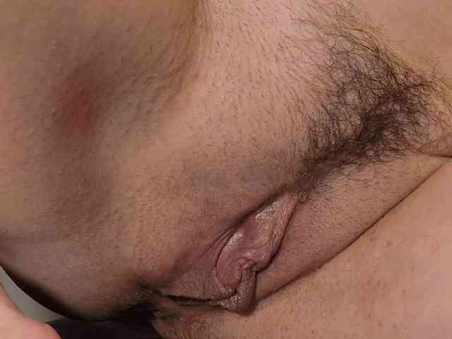 Xollan webcam