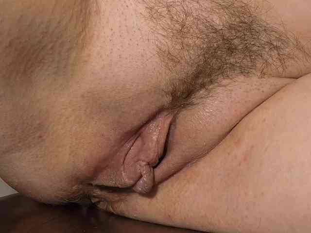 Xollan webcam