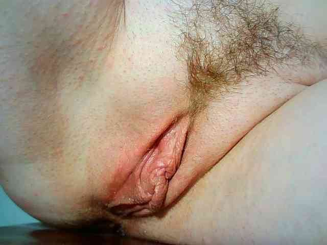 Xollan