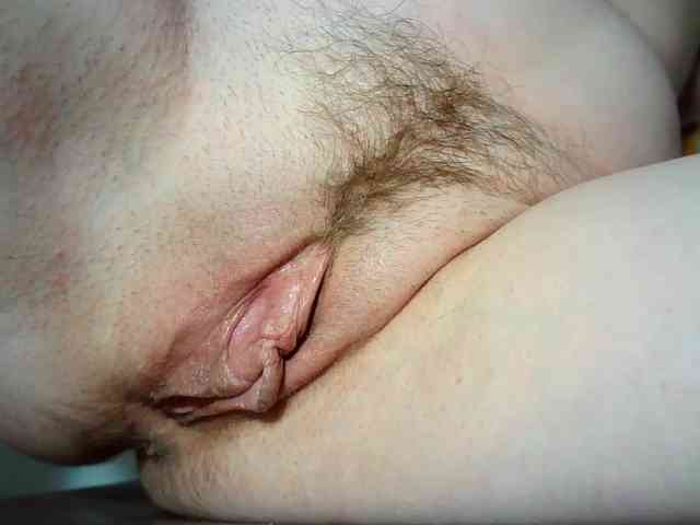 Xollan webcam