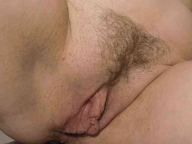 Xollan webcam