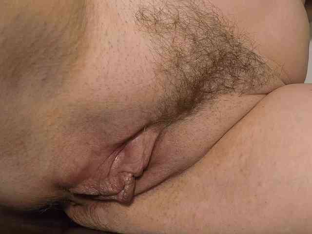 Xollan webcam