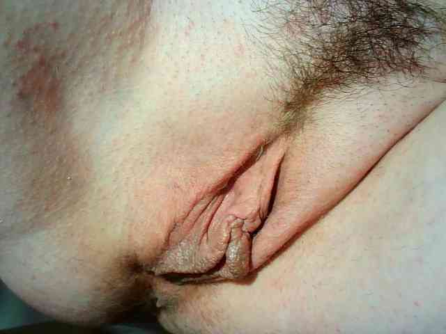 Xollan webcam