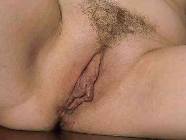 Xollan webcam