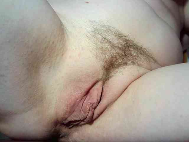 Xollan webcam