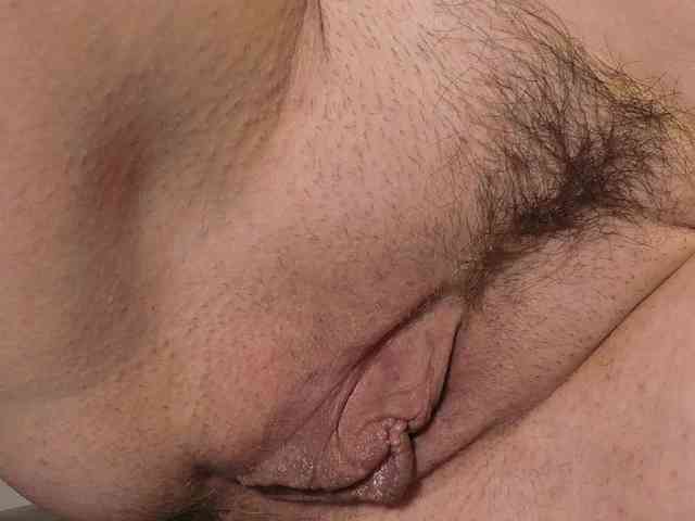 Xollan webcam