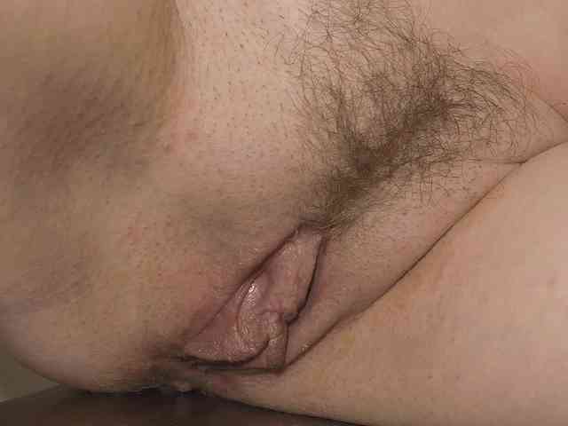 Xollan webcam
