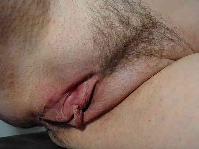 Xollan webcam
