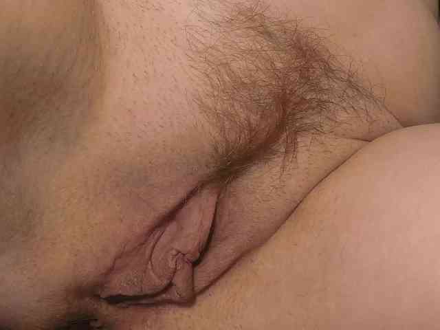 Xollan webcam