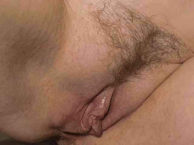 Xollan webcam