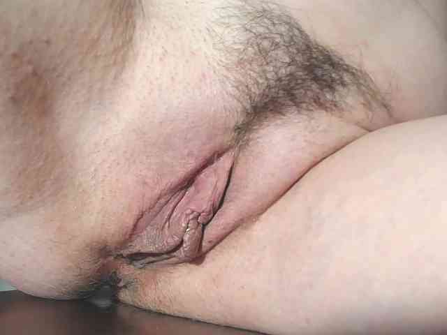 Xollan webcam
