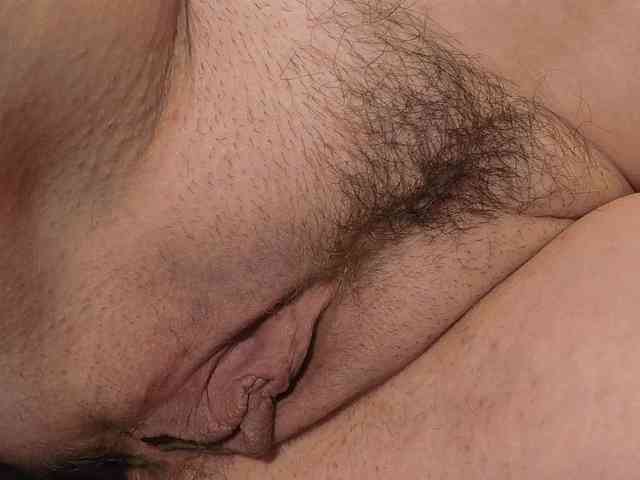 Xollan webcam