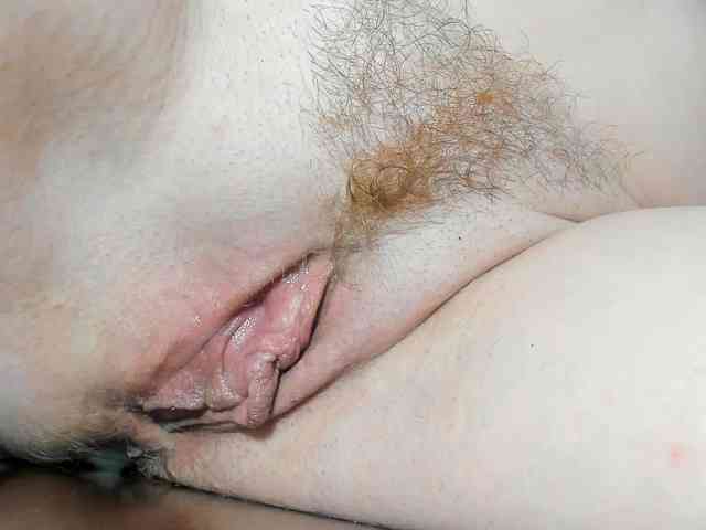 Xollan webcam