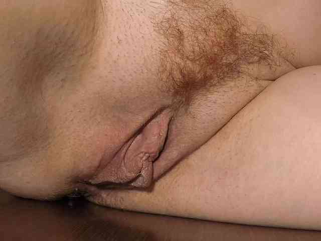 Xollan webcam