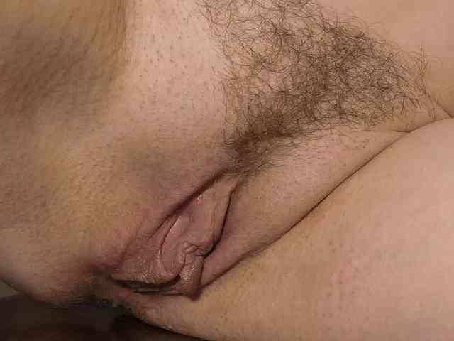 Xollan webcam
