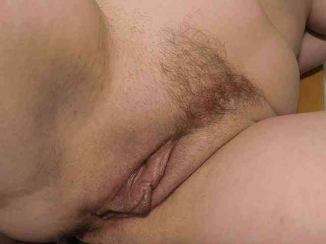 Xollan webcam