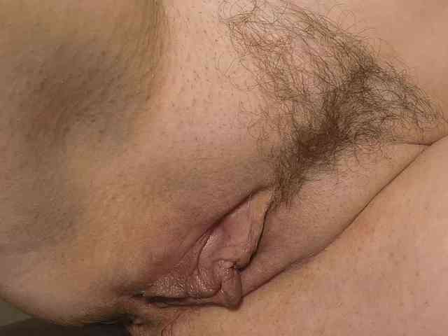 Xollan