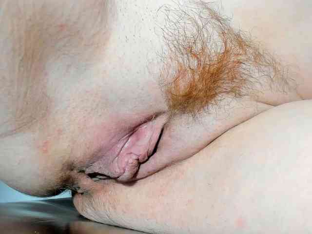 Xollan webcam