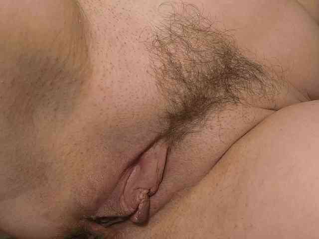 Xollan webcam