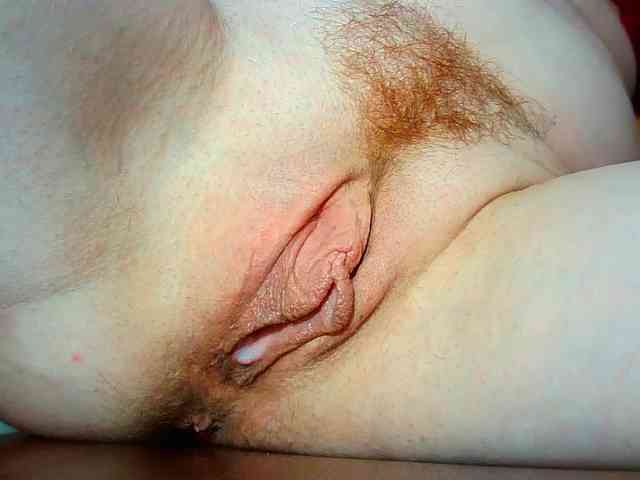Xollan webcam