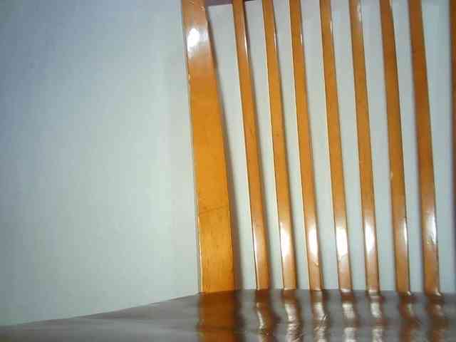 Xollan webcam