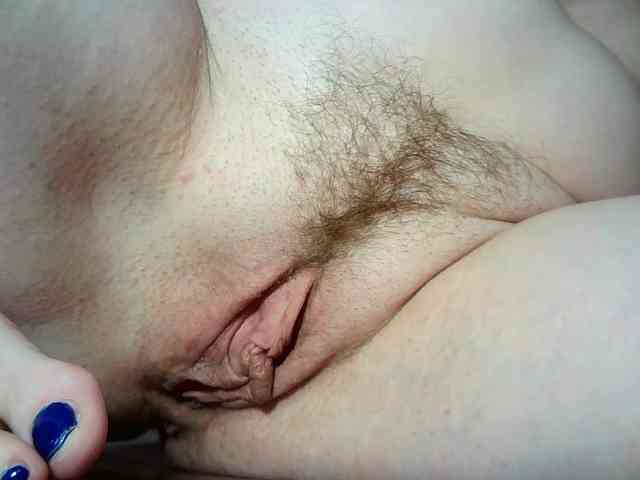 Xollan webcam